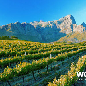 Franschhoek, Winelands
