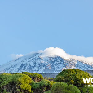 Kilimanjaro Trek - Machame Route