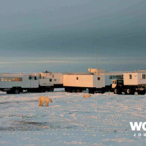 Kingdom of the Ice Bear
