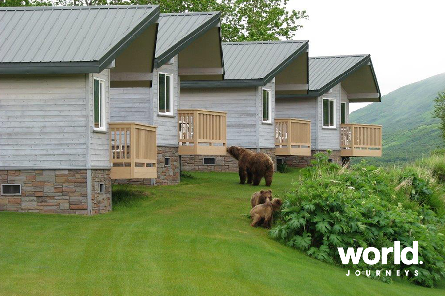 Kodiak Brown Bear Center