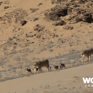 Namibia under Canvas