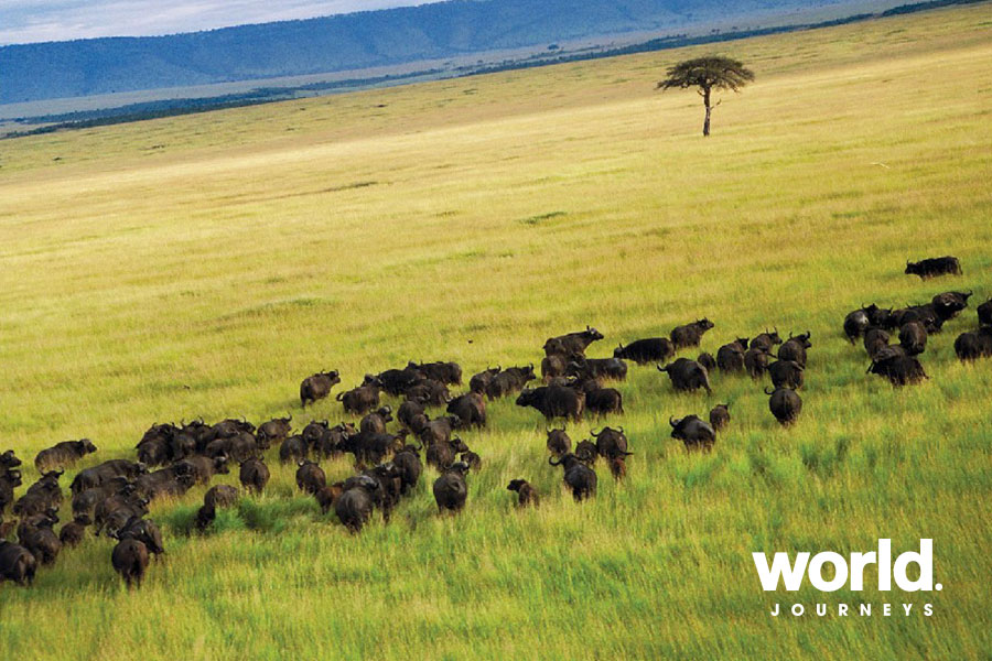 Ngorongoro & The Serengeti