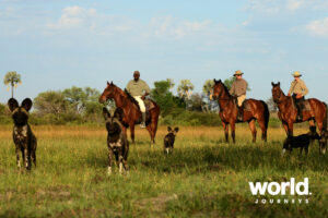 Okavango by Horseback