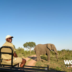 Sabi Sabi Private Game Reserve