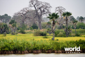 Senegal & Gambia - The Rivers of West Africa