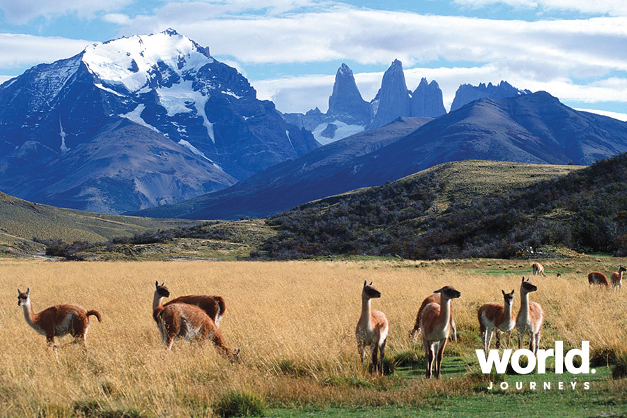 Tierra Patagonia