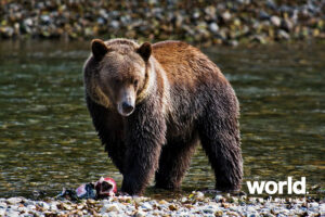 Western Explorer Tour with Sonora Resort