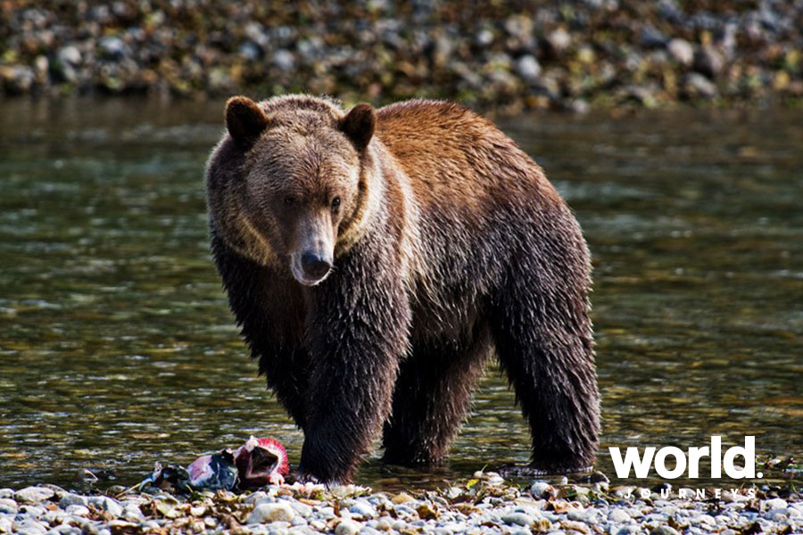 Western Explorer Tour with Sonora Resort