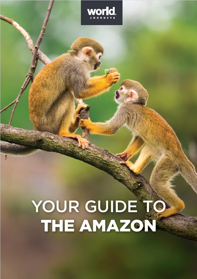 Your guide to the Amazon - cover 2024