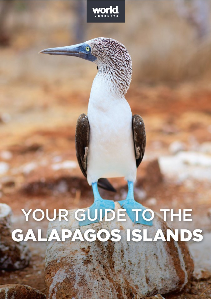 Your guide to the Galapagos Islands - cover 2024