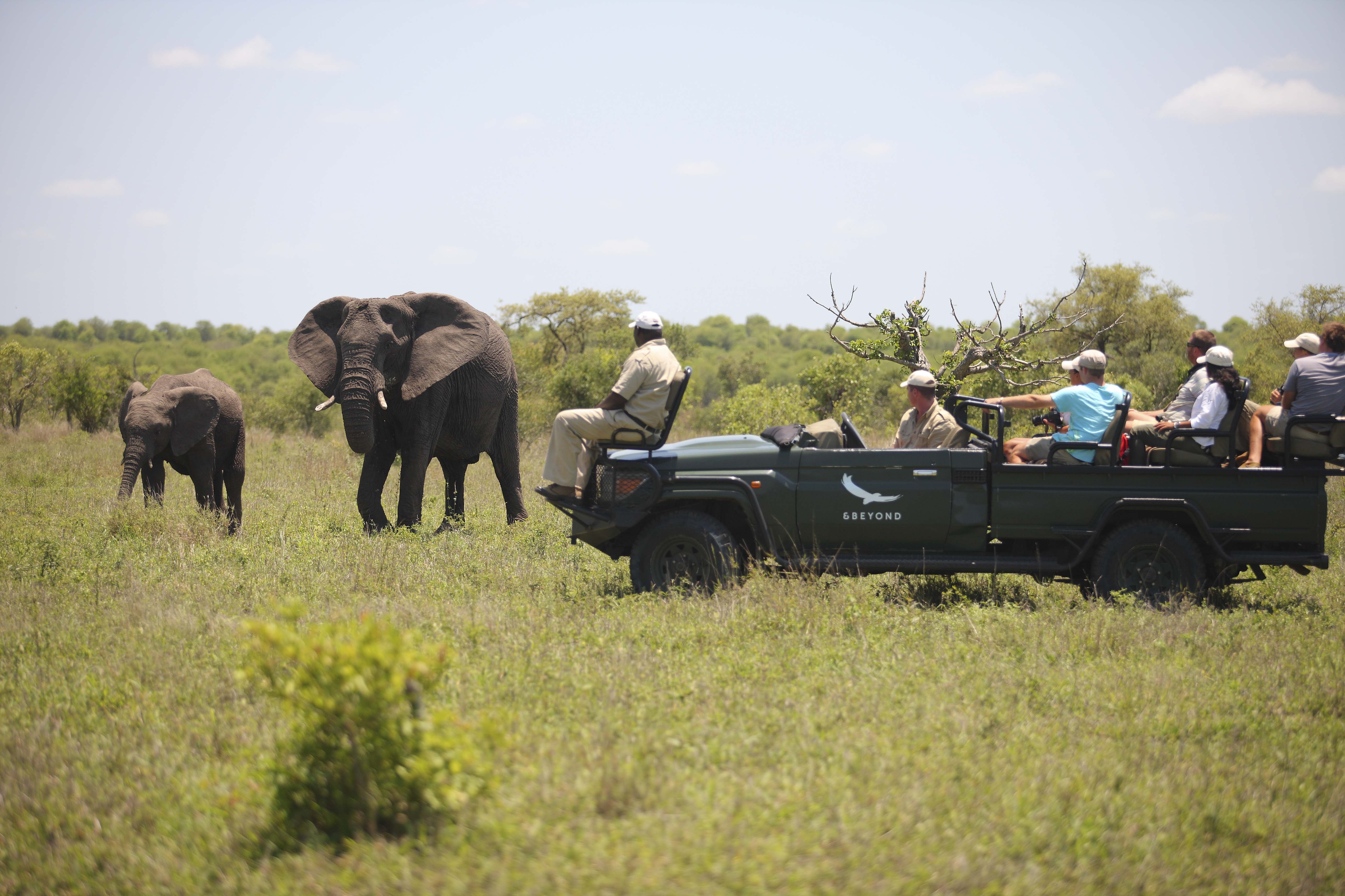 andBeyond Ngala Private Game Reserve