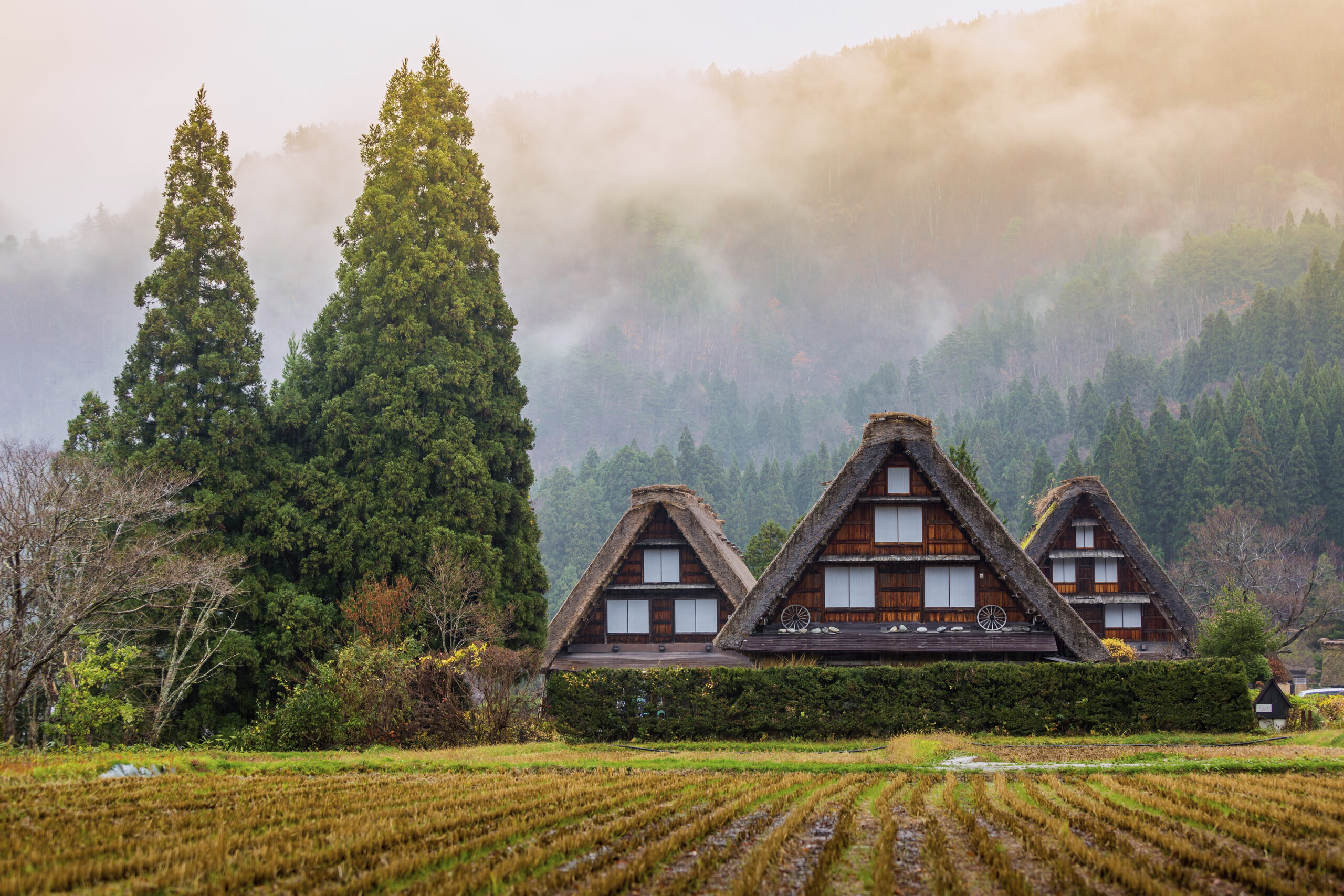 Historic village of Shirakawa-go