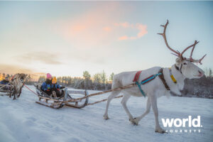 reindeer_sleigh_ride_apukka_resort