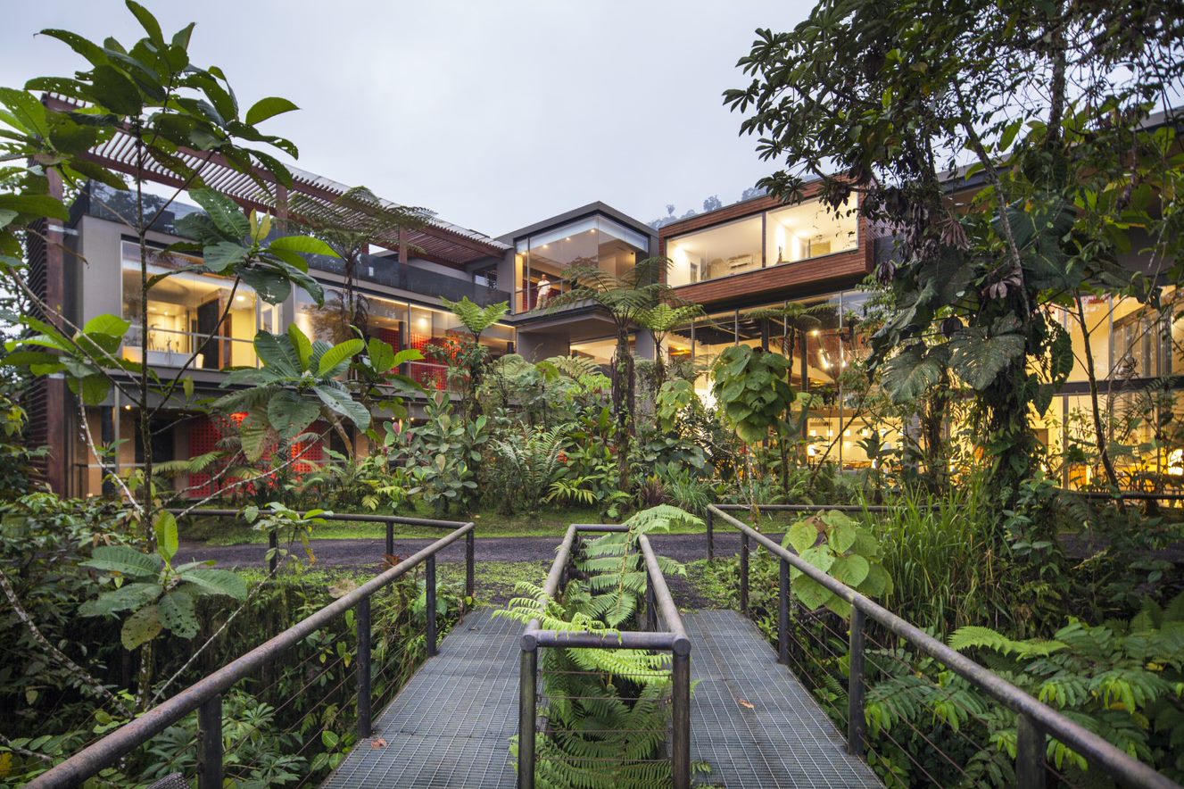 Ecuador's Cloud Forest