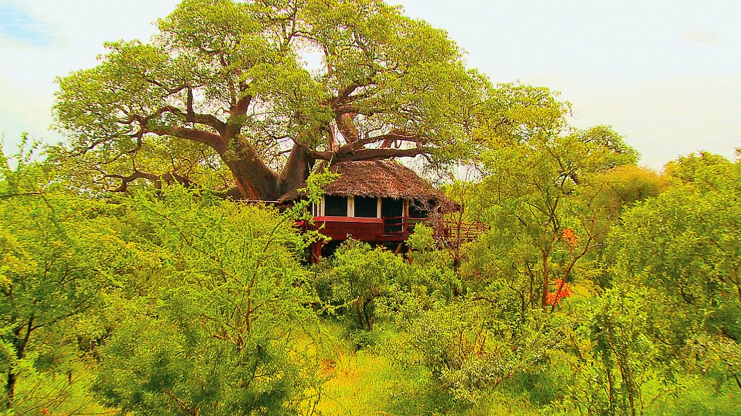 SkySafari Tanzania 2027
